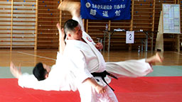 What is aikido?